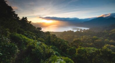 Lanza Semarnat convocatoria al Premio Nacional al Mérito Forestal 2022