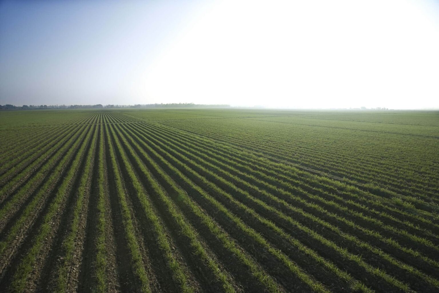 Agroindustra CoDI