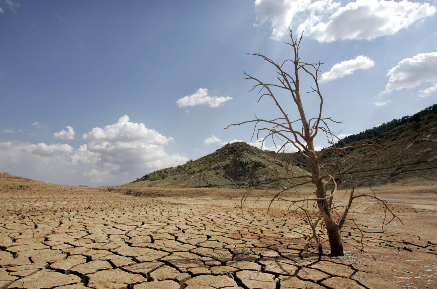 Cambio Climático