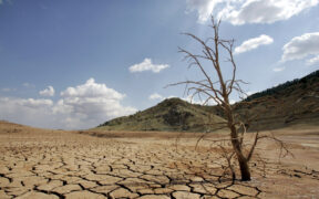 Cambio Climático