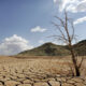Cambio Climático