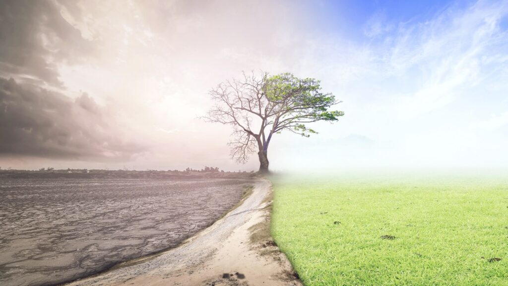 The Climate Reality Project,
