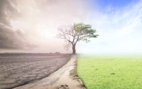The Climate Reality Project,