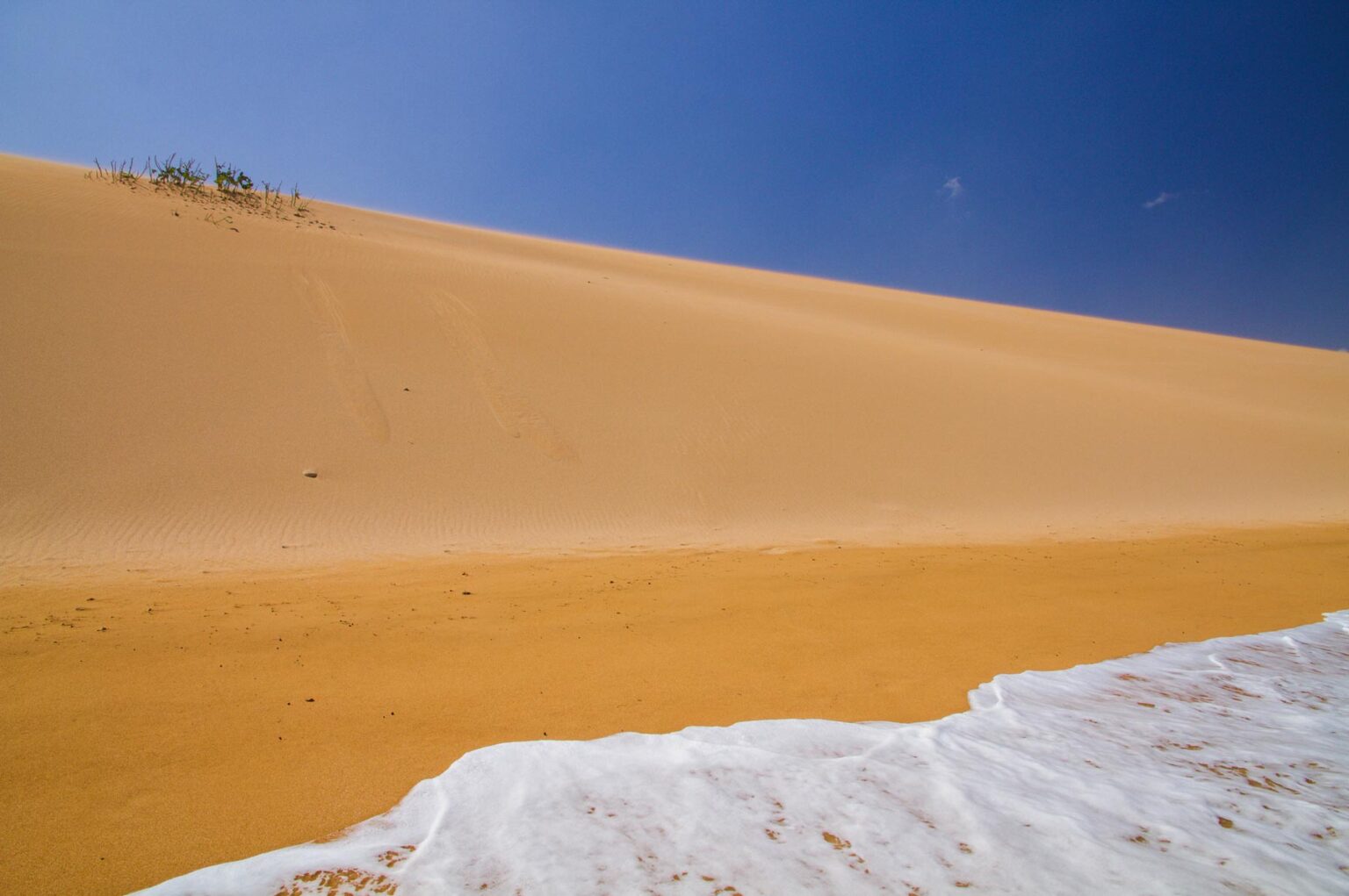 Guajira