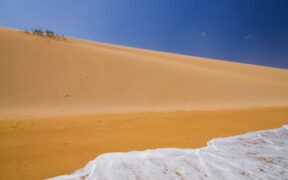 Guajira