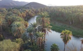 Humedales