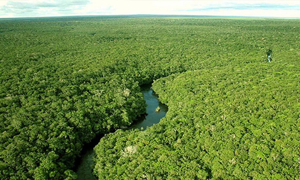 Amazonia