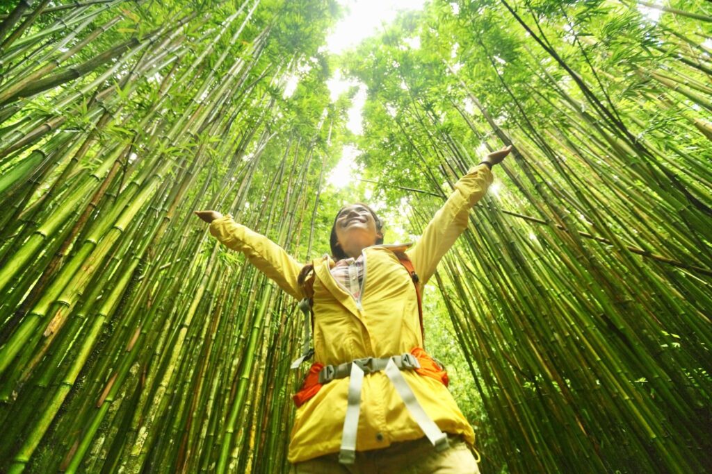 Turismo sustentable