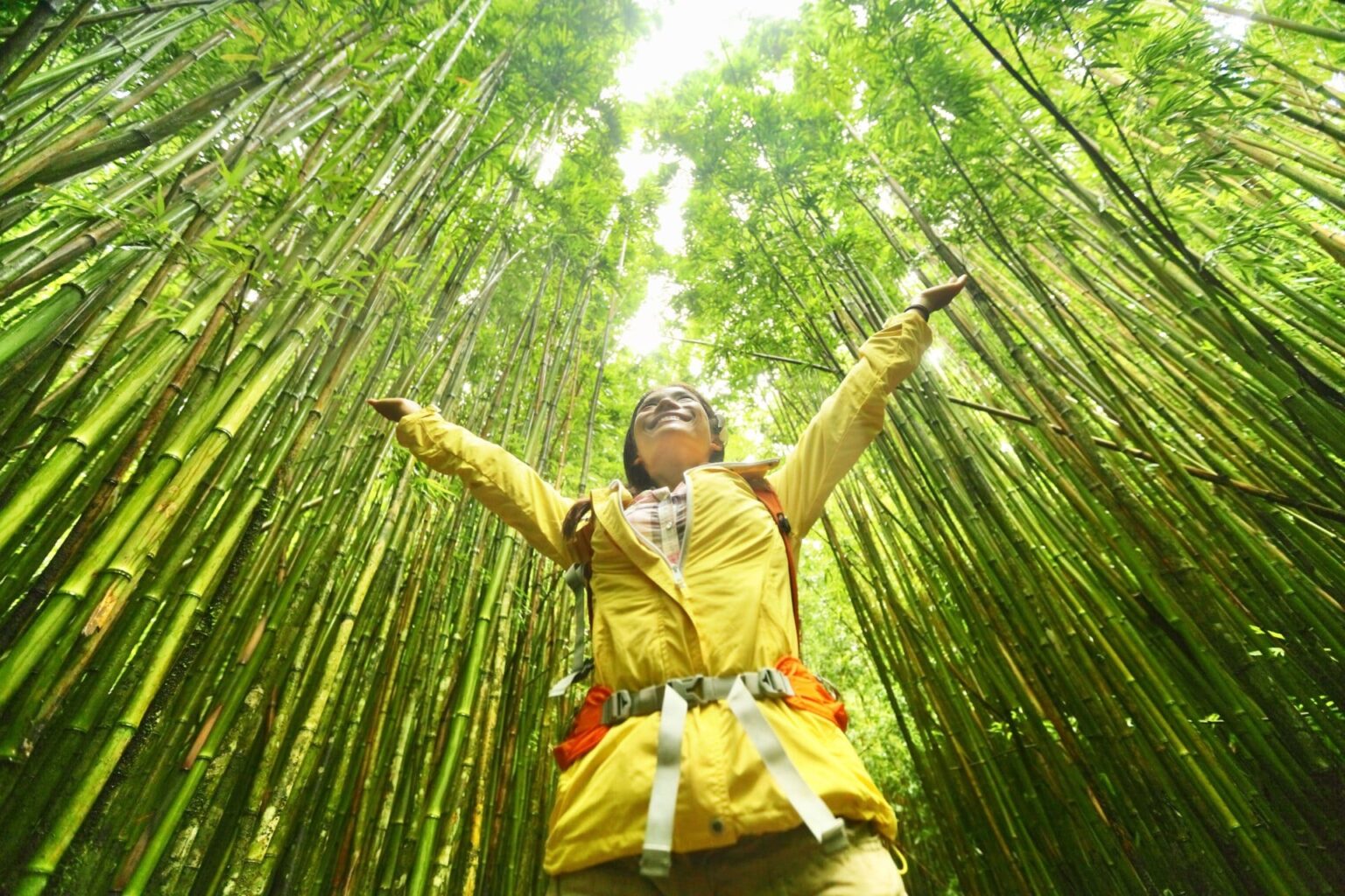 Turismo sustentable
