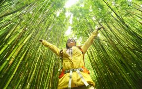 Turismo sustentable