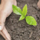 Enviroscore