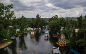 Humedales