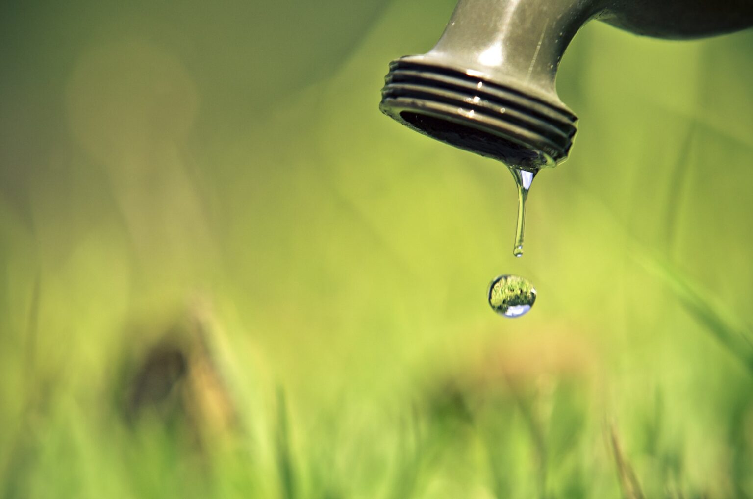Agua