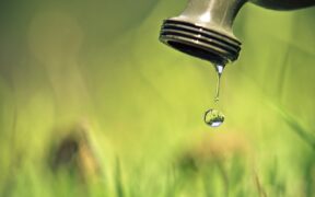 Agua