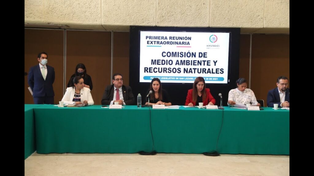 Medio Ambiente