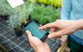 Internet de las Plantas