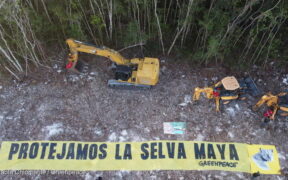 Tren Maya