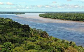 Amazonia