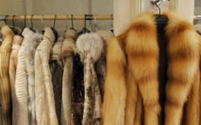 Dolce & Gabanna