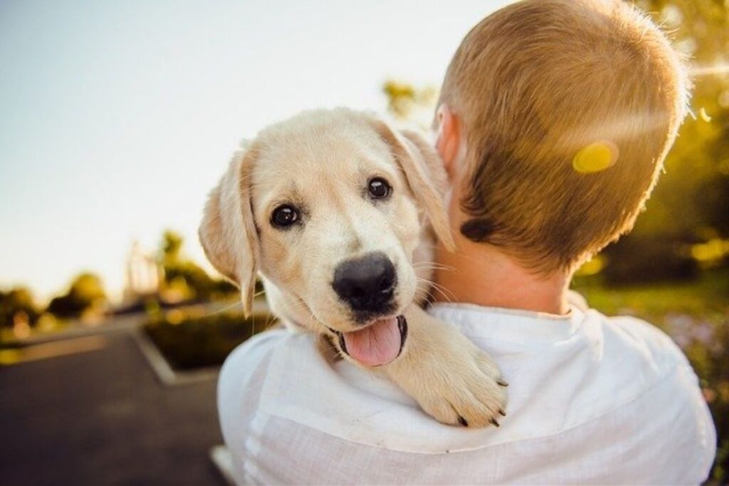 perro