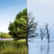 Cambio Climático
