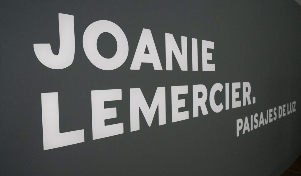Joanie Lemercier