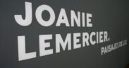 Joanie Lemercier