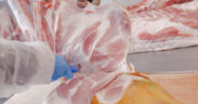 cuánta carne comer para no dañar el medio ambiente