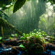 calentamiento global por Amazonia