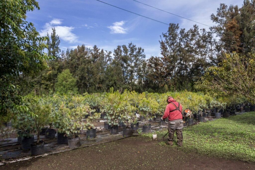Xochimilco