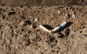 producción de tabaco