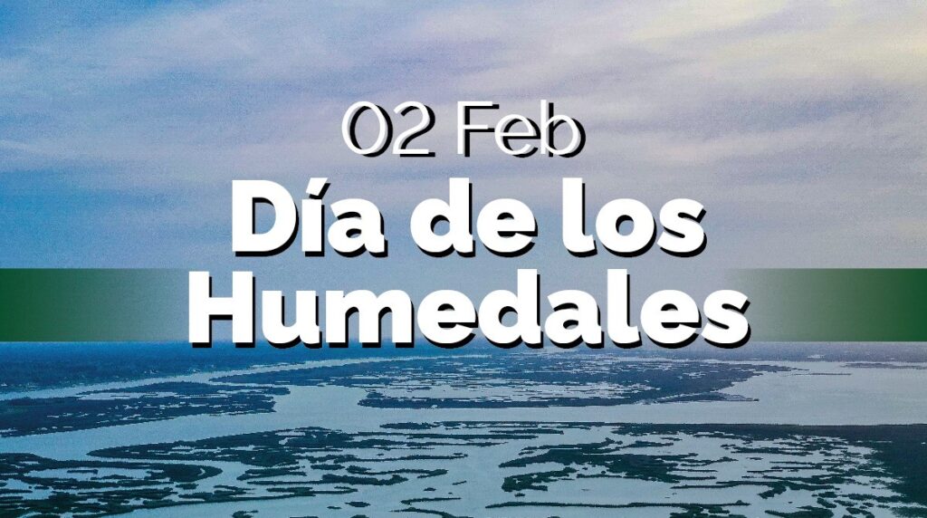 humedales
