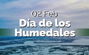 humedales