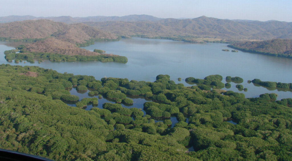 río verde