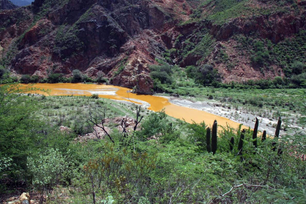 desastre ecológico