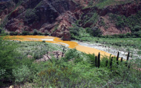 desastre ecológico