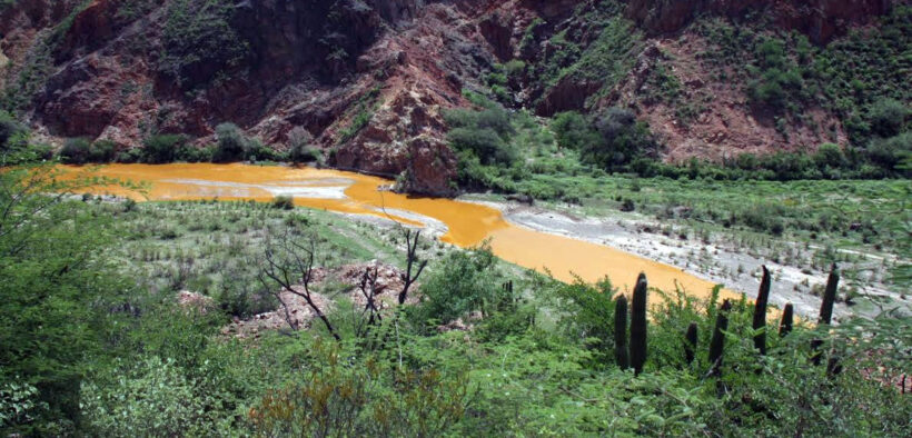 desastre ecológico
