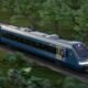 Decreto tren maya