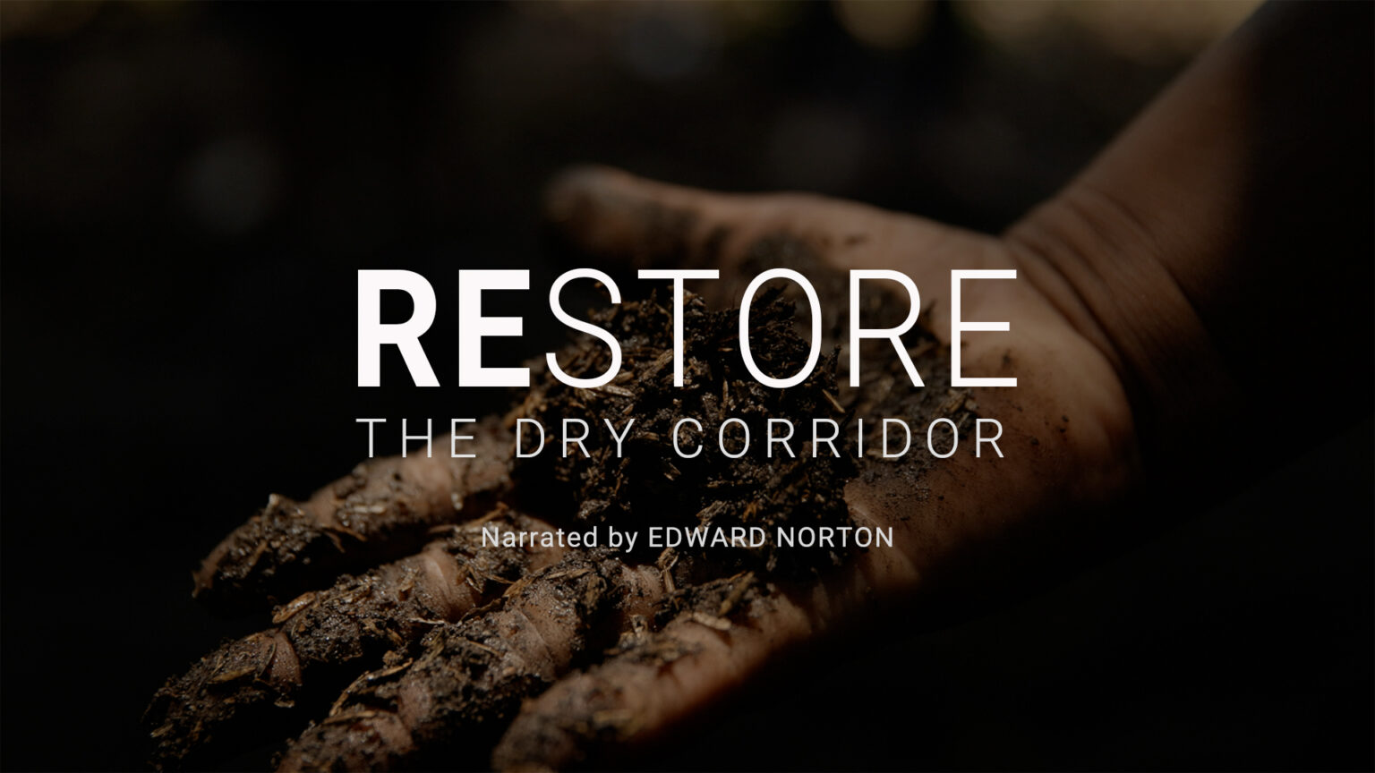 minidocumentales gratuitos sobre la restauración del ecosistema