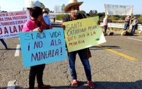 nueva Ley Minera