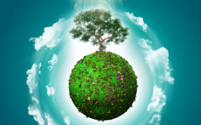 Día Mundial del Árbol
