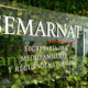avances en materia ambiental
