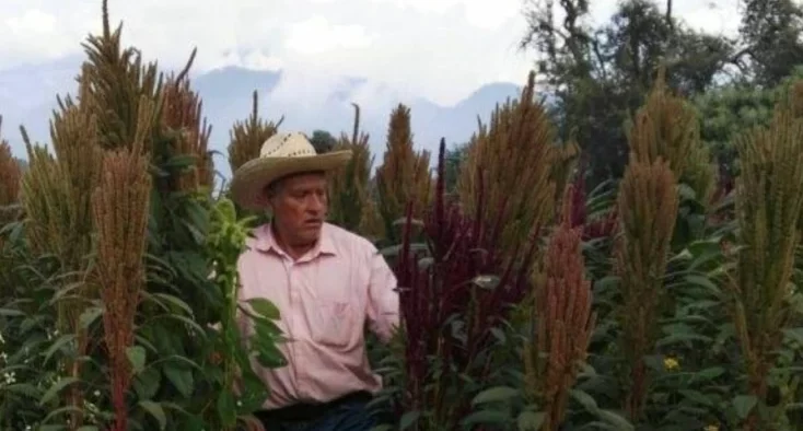 defensor del agua Álvaro Arvizu Aguiñiga