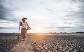 desertificación y sequía