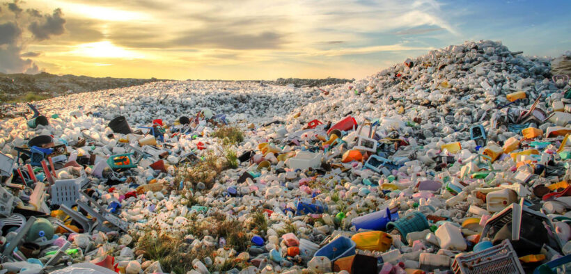medio ambiente