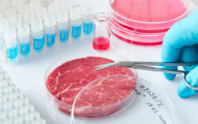 producción de carne con biorreactores