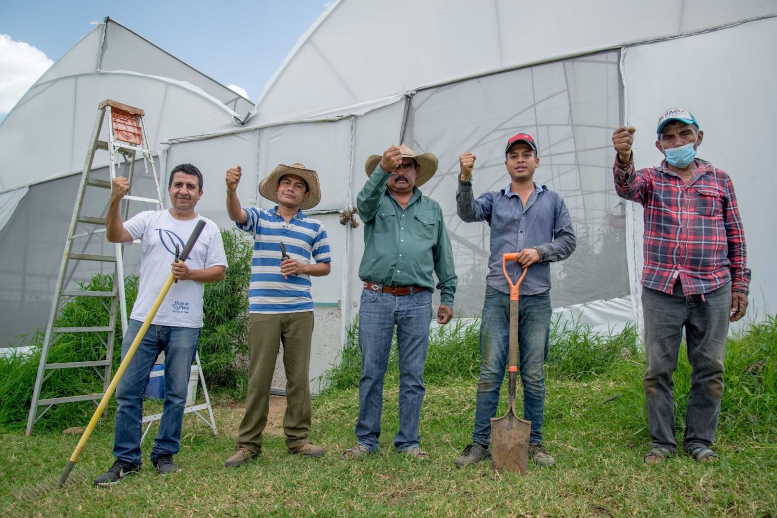 producción de jitomate
