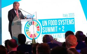 Cumbre sobre sistemas alimentarios