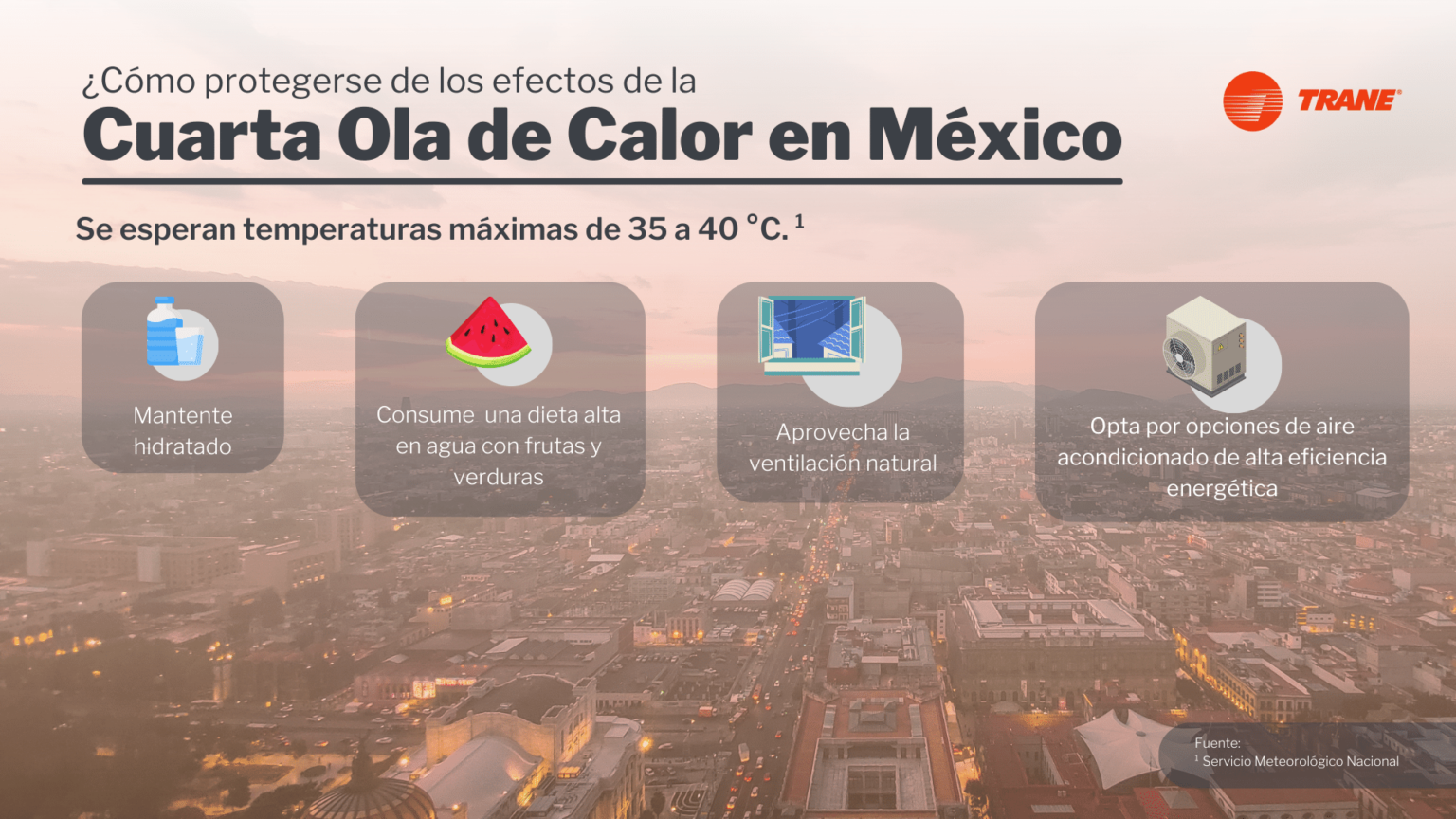 Consejos para combatir la ola de calor