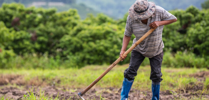 agricultura de la conservación